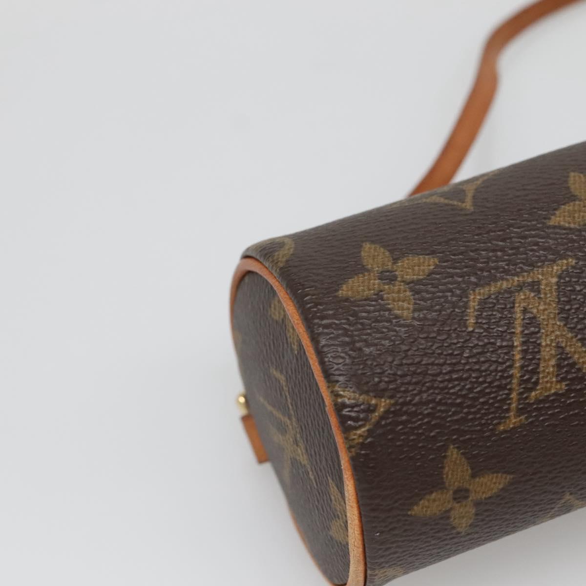 Louis Vuitton Papillon Brown Canvas Bag