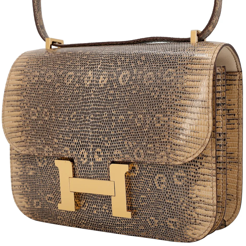 Hermes Inspired Natural Lizard Constance Bag