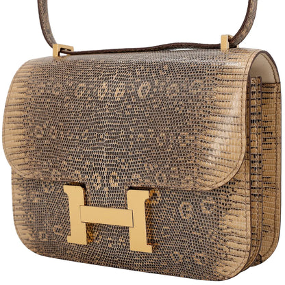 Hermes Inspired Natural Lizard Constance Bag