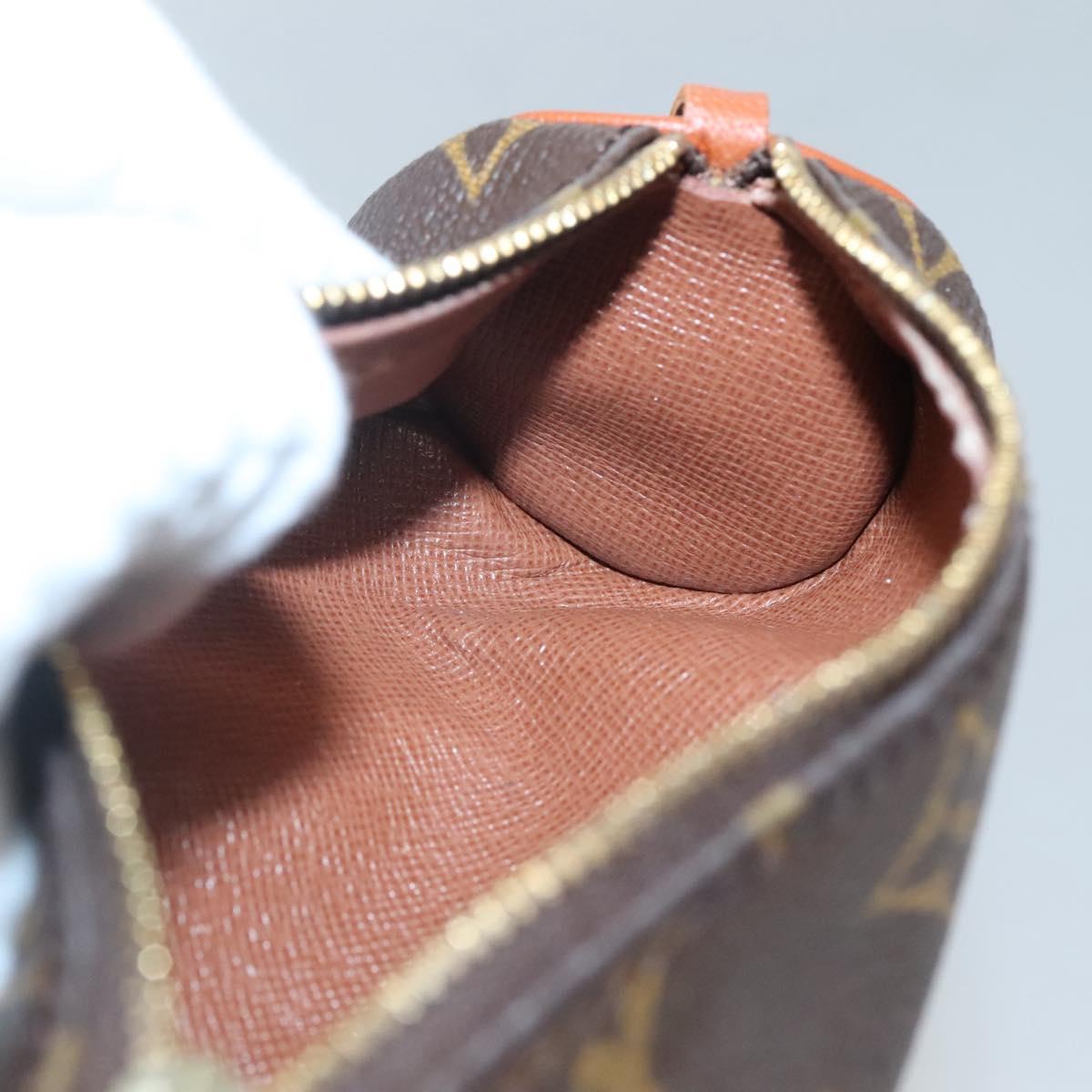 Louis Vuitton Papillon Pochette