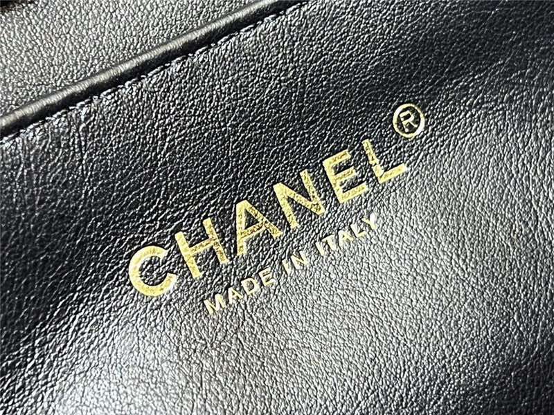 Chanel Inspired 22C Mini Flap Bag
