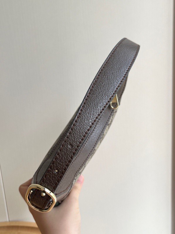 Gucci Inspired Ophidia GG Mini Monogram Bag